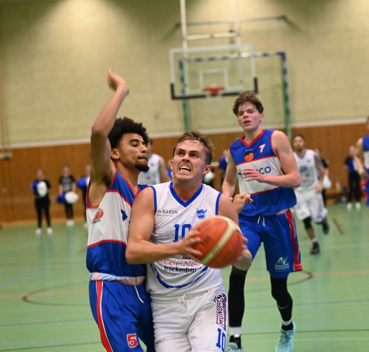 86:65 – Kleene Trockenbau Baskets Fortuna Logabirum feiern einen magischen Basketballabend in der BBS-Halle