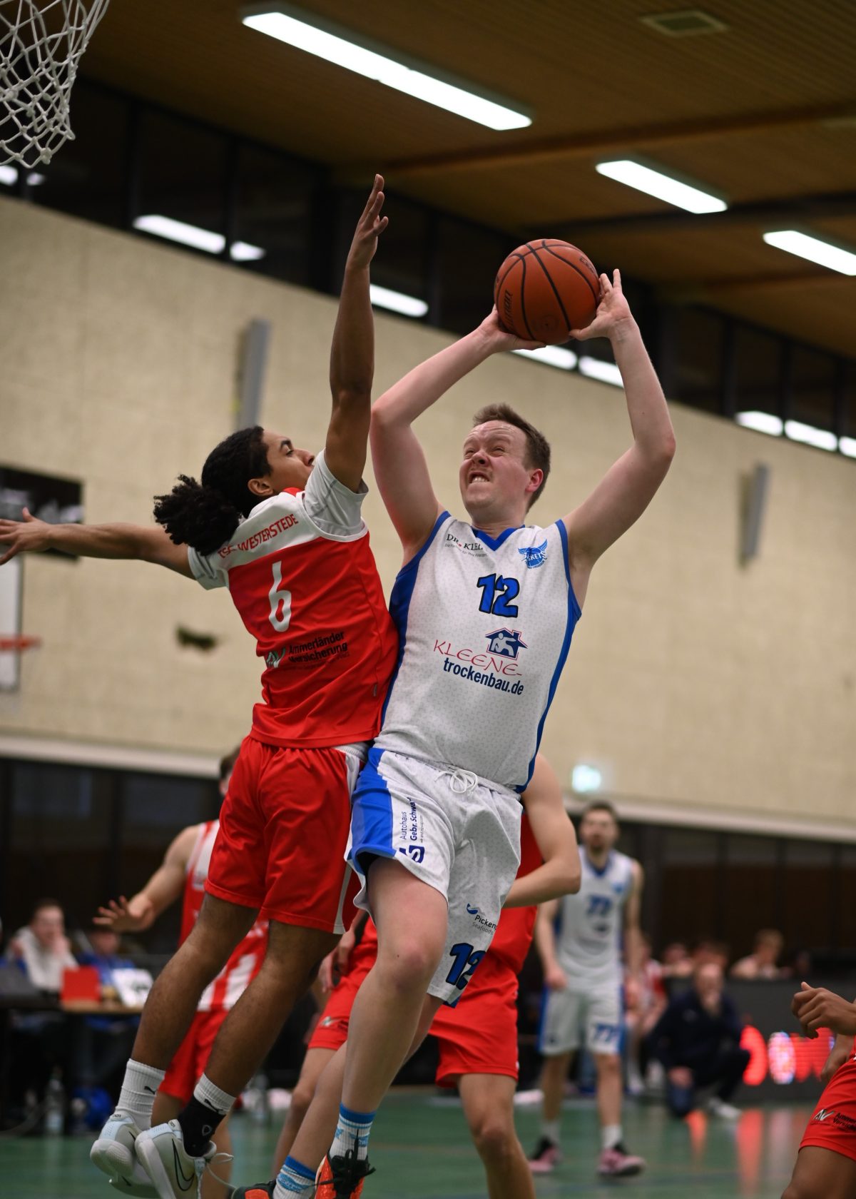 Kleene Trockenbau Baskets beenden Saison auf Rang sechs / Niederlagen gegen Westerstede und Hagen